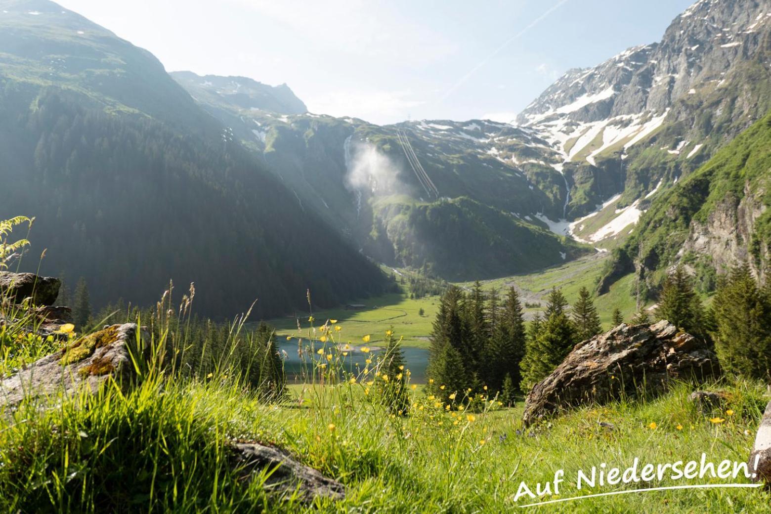 Ferienwohnung Auf Niedersehen - 8 Personen - Kitzbuehler Alpen - Hoehe Tauern Np Hollersbach im Pinzgau Bagian luar foto